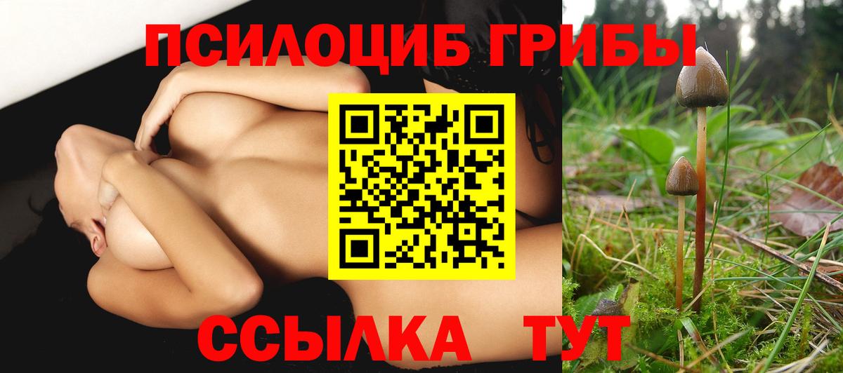 магазин  наркотиков  Псилоцибиновые грибы Magic Shrooms  Коммунар  Вход с VPN  Галлюциногенные грибы прущие грибы 