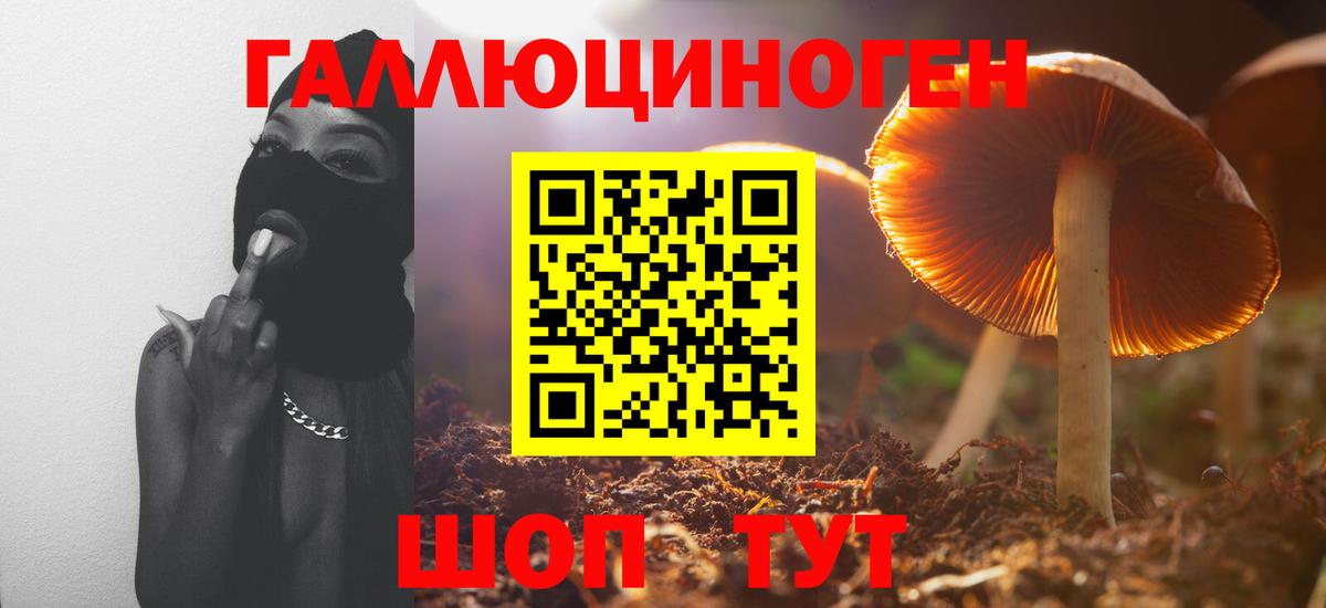 Галлюциногенные грибы Psilocybine cubensis Коммунар