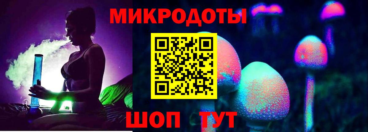 Галлюциногенные грибы Psilocybe Коммунар